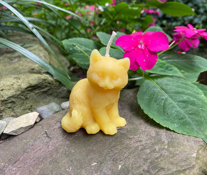 Kitten Beeswax Candle | Kitty | Cats | Ornamental | Unique | Decorative | Animal Collection | USA Handmade | Bees Wax Candles | Clean Burn - Bees Light Candles