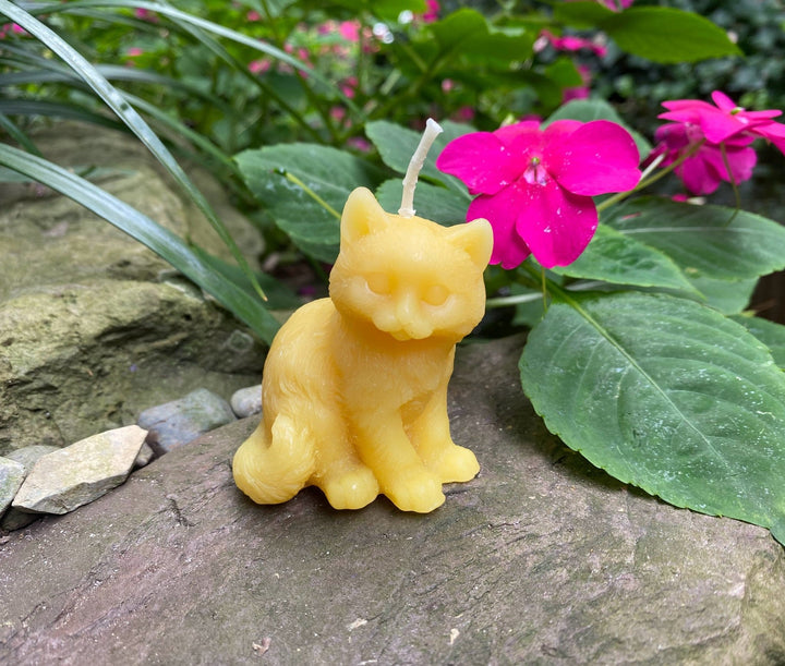 Kitten Beeswax Candle | Kitty | Cats | Ornamental | Unique | Decorative | Animal Collection | USA Handmade | Bees Wax Candles | Clean Burn - Bees Light Candles