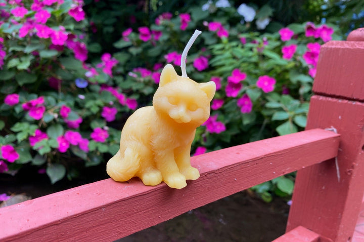 Kitten Beeswax Candle | Kitty | Cats | Ornamental | Unique | Decorative | Animal Collection | USA Handmade | Bees Wax Candles | Clean Burn - Bees Light Candles
