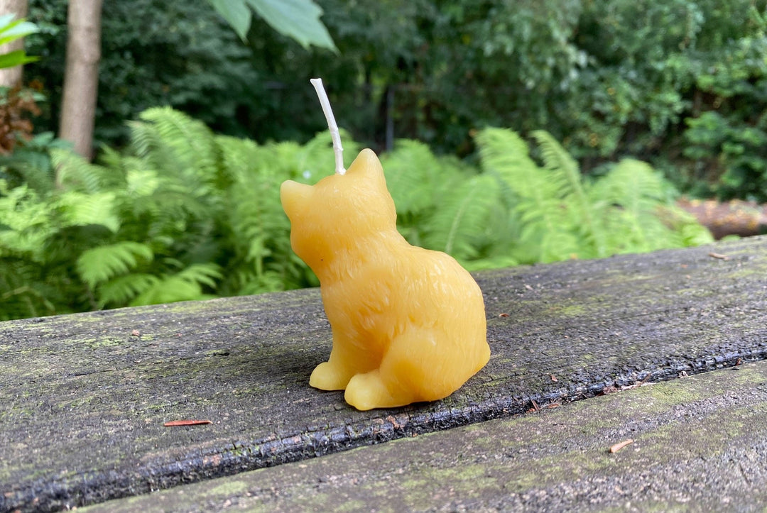 Kitten Beeswax Candle | Kitty | Cats | Ornamental | Unique | Decorative | Animal Collection | USA Handmade | Bees Wax Candles | Clean Burn - Bees Light Candles