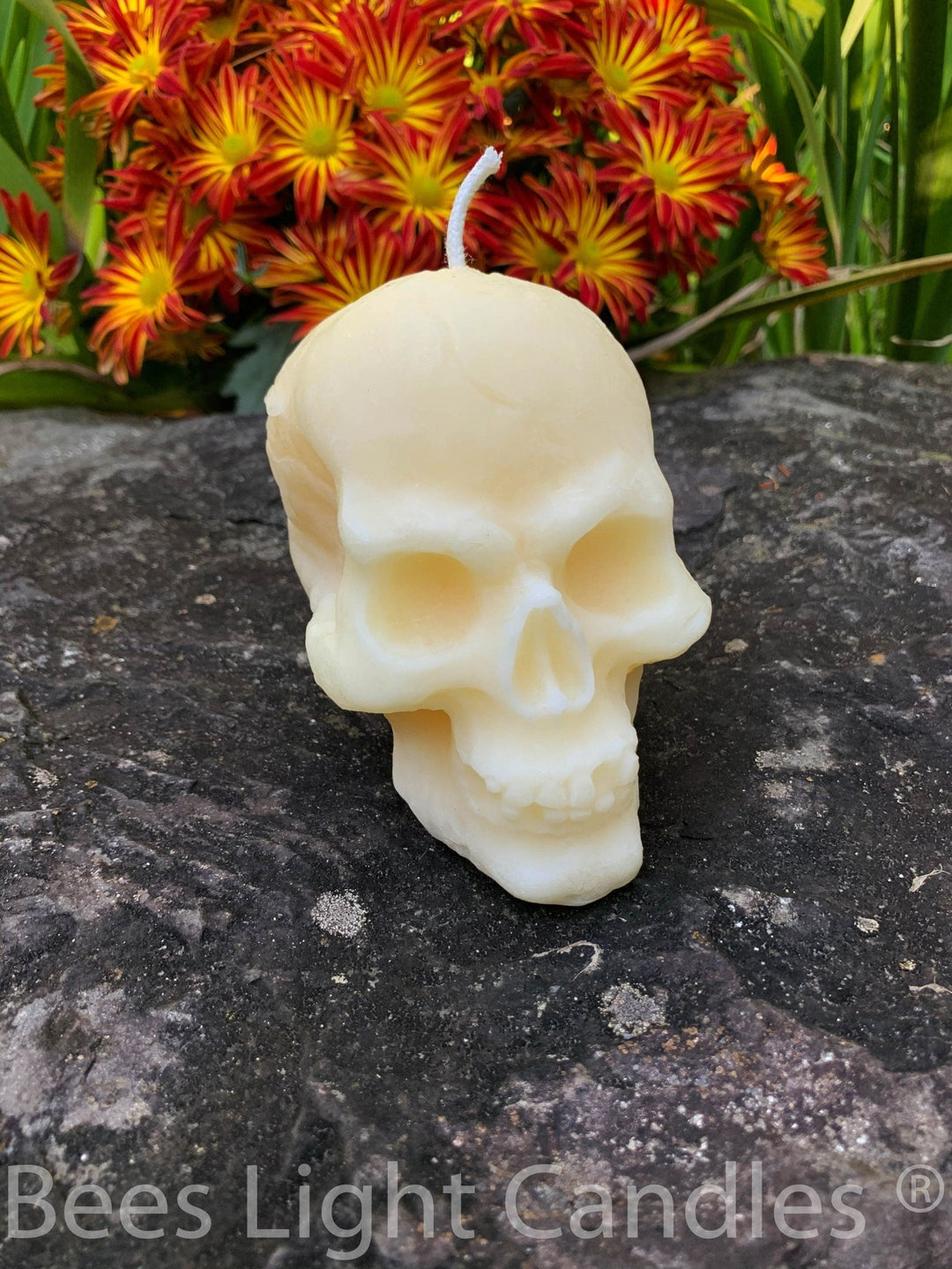 Large Skull Candle 100% Natural Beeswax - Glows in the Dark | Halloween | Horror Dark & Scary | Human Skull | Frightening | Handmade in USA - Bees Light Candles