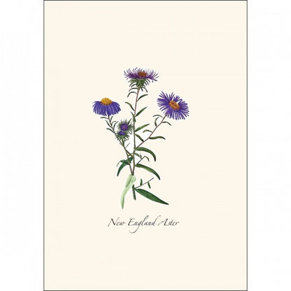 Meadow Wildflower Assortment Greeting Cards