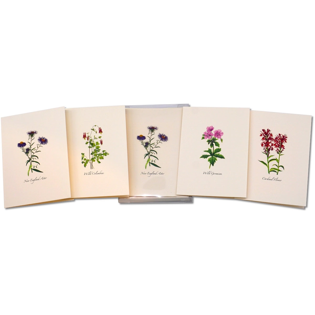 Meadow Wildflower Assortment Greeting Cards