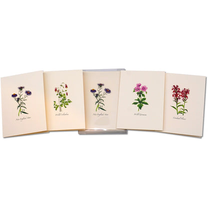 Meadow Wildflower Assortment Greeting Cards