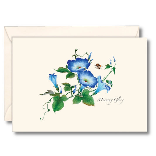 Morning Glories Greeting Card