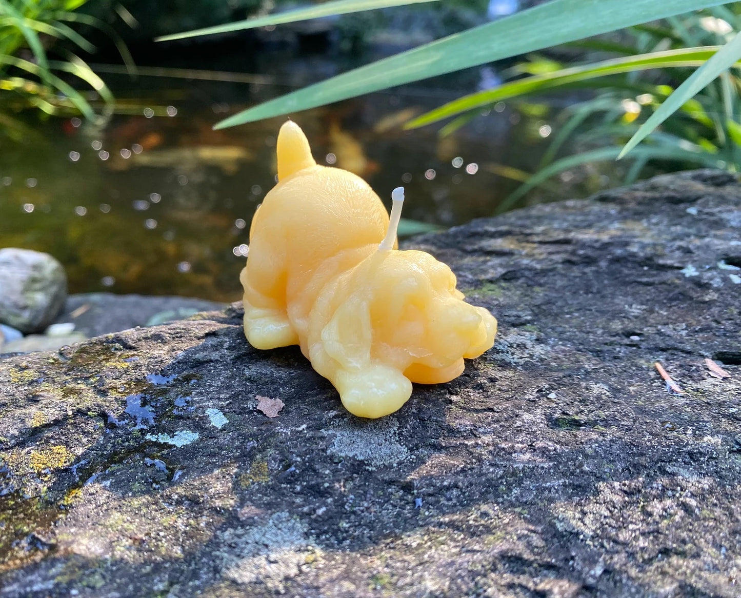 Playing Puppy Beeswax Candle