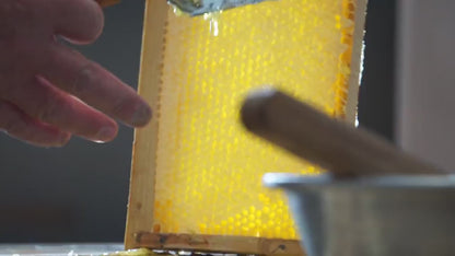 Raw Natural Honey North Eastern USA Local Pure Golden Antioxidant Nutrient Rich Fresh