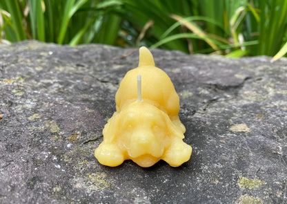 Kitten and Puppy Buddies Beeswax Candle Set