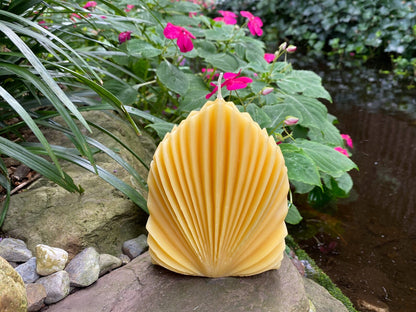 Shell Design Beeswax Candle