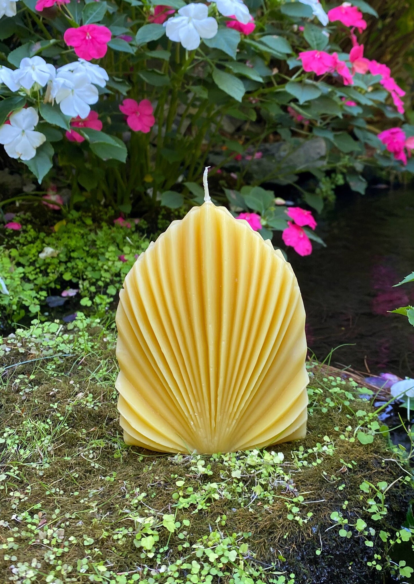 Shell Design Beeswax Candle