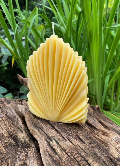 Shell Design Beeswax Candle