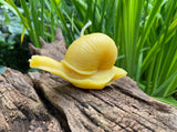 Snail Beeswax Candle - Bees Light Candles
