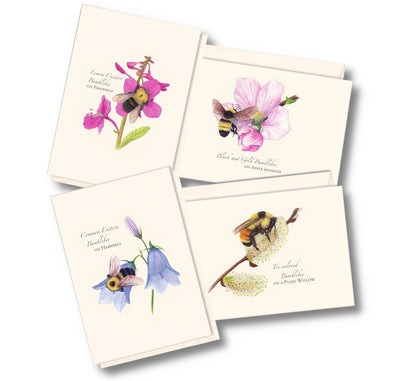 Spring Bee Assortment Greeting Cards