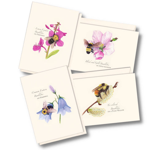 Spring Bee Assortment Greeting Cards