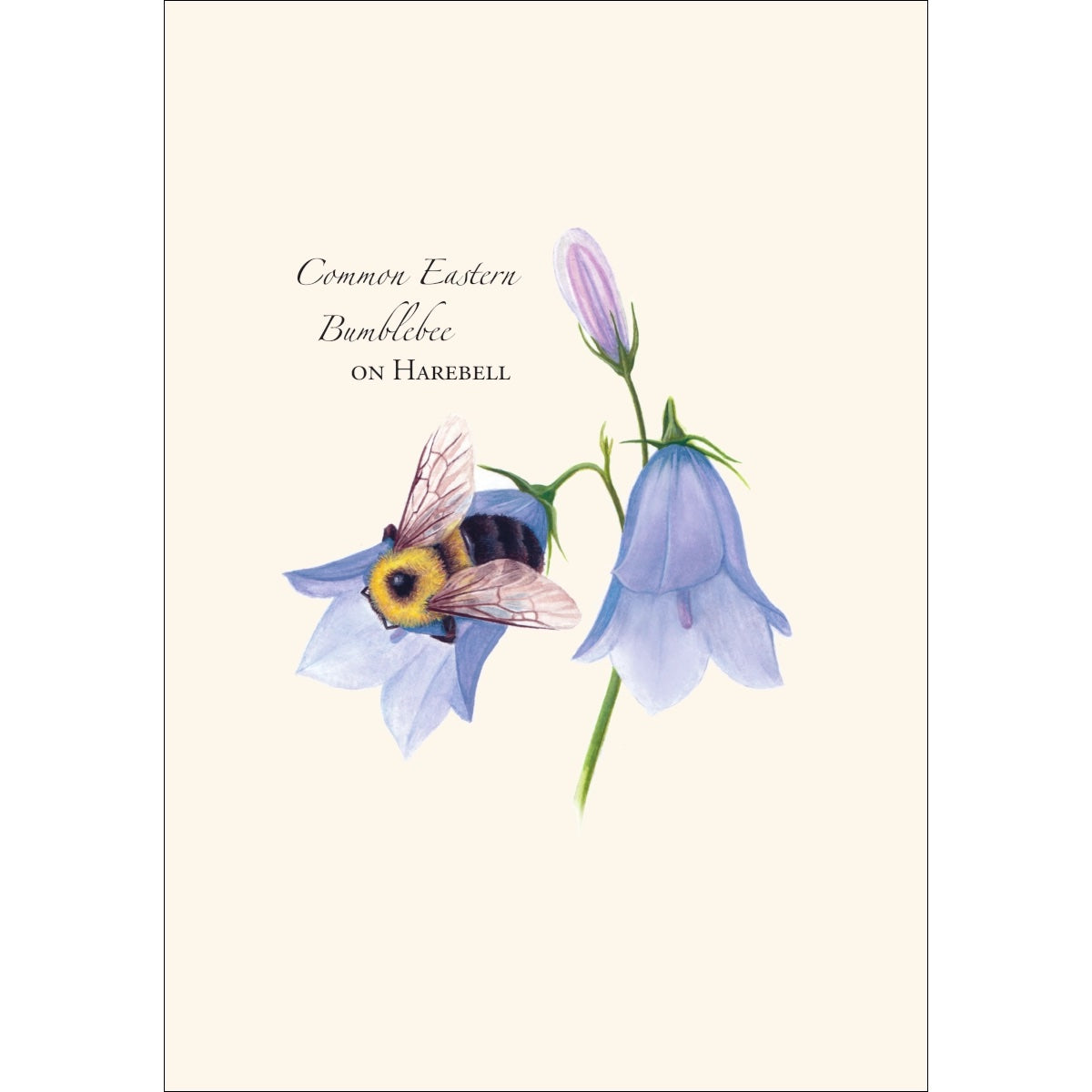 Spring Bee Assortment Greeting Cards