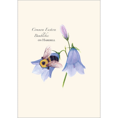 Spring Bee Assortment Greeting Cards