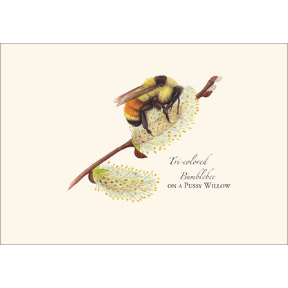 Spring Bee Assortment Greeting Cards