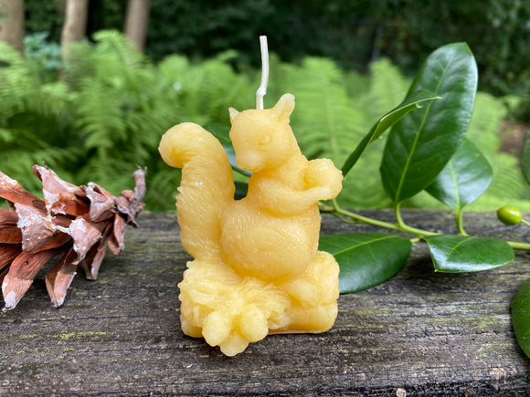 Squirrel Beeswax Candle - Bees Light Candles