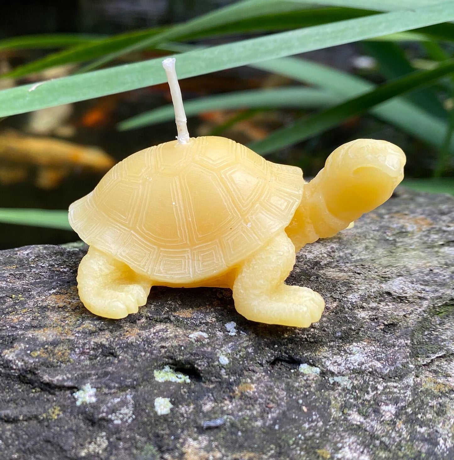 Tortoise Beeswax Candle