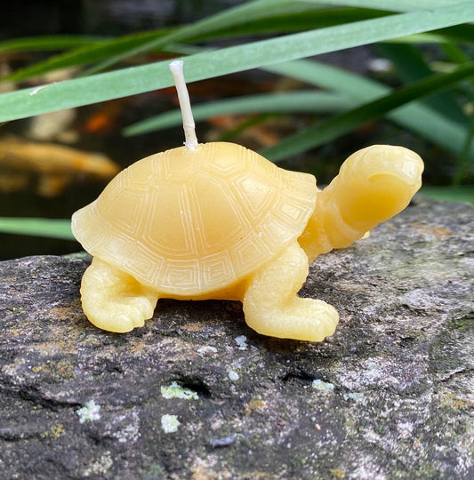Tortoise Beeswax Candle