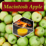Macintosh Apple / Scented Beeswax Tealight Candles - Bees Light Candles
