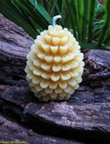Pine Cone - Bees Light Candles