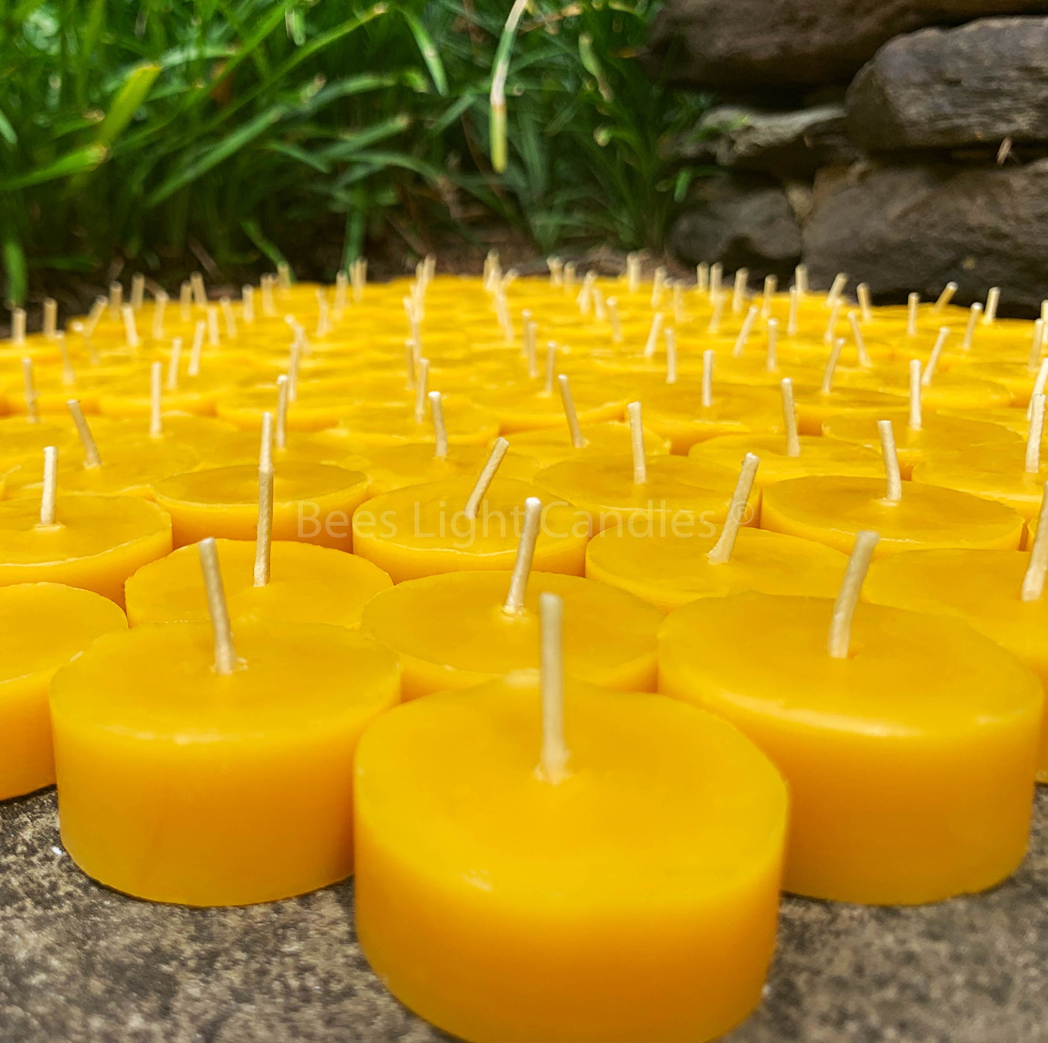 Beeswax Tea Lights Candles Bulk Refills (30) 