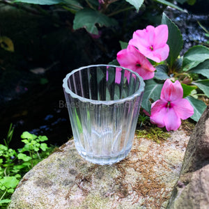 Clear Votive Glass Candle Holder (Candles Not Included) - Bees Light Candles