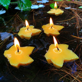 Floating Maple Leaf Candles - Bees Light Candles
