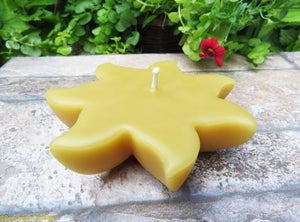 Floating Star - Bees Light Candles