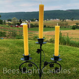 Honeycomb Taper Candles - Bees Light Candles